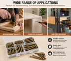 Wood screw assortment for woodworking, furniture assembly, and shelf installation